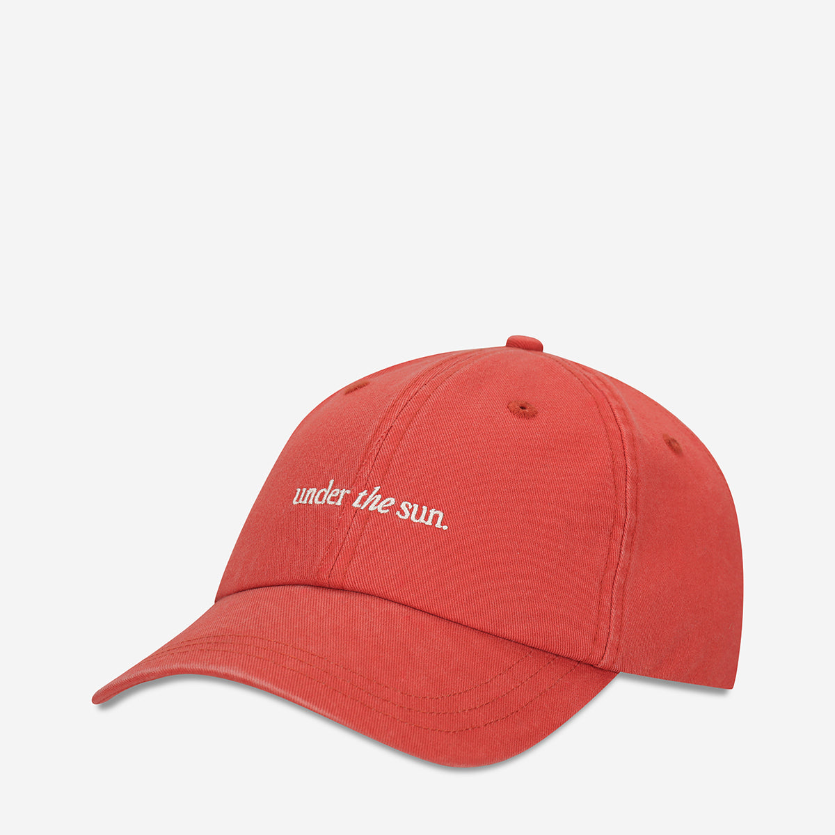 Status Anxiety Under the Sun Logo Hat Watermelon