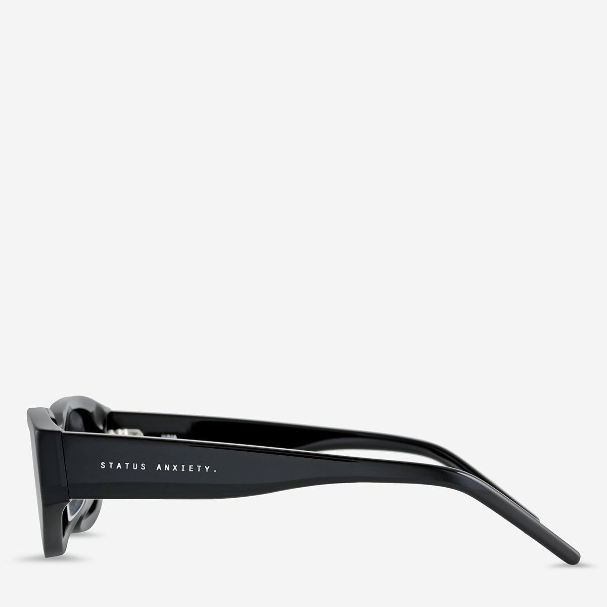 Luna Sunglasses | Status Anxiety