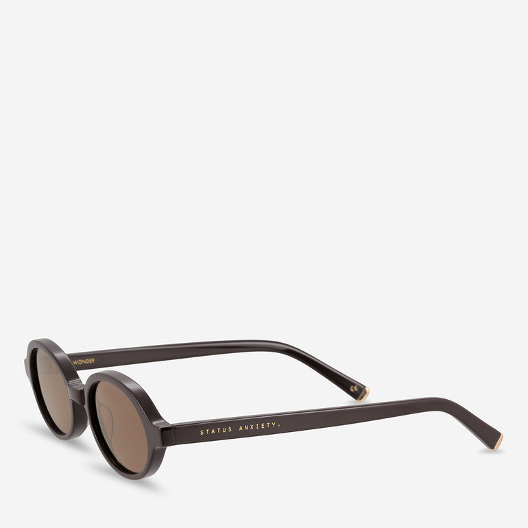 Status Anxiety Wonder Sunglasses Espresso
