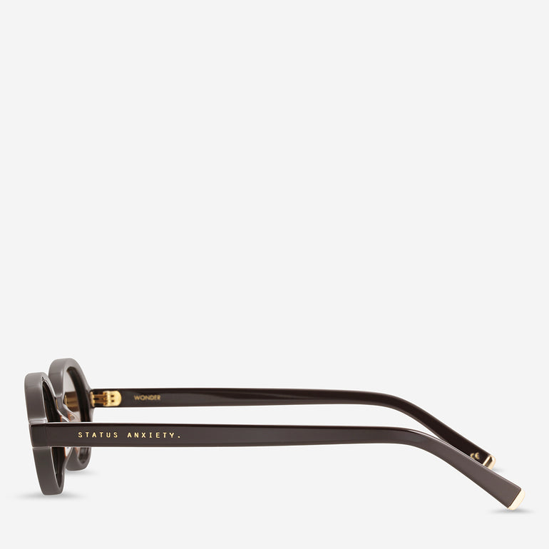 Status Anxiety Wonder Sunglasses Espresso