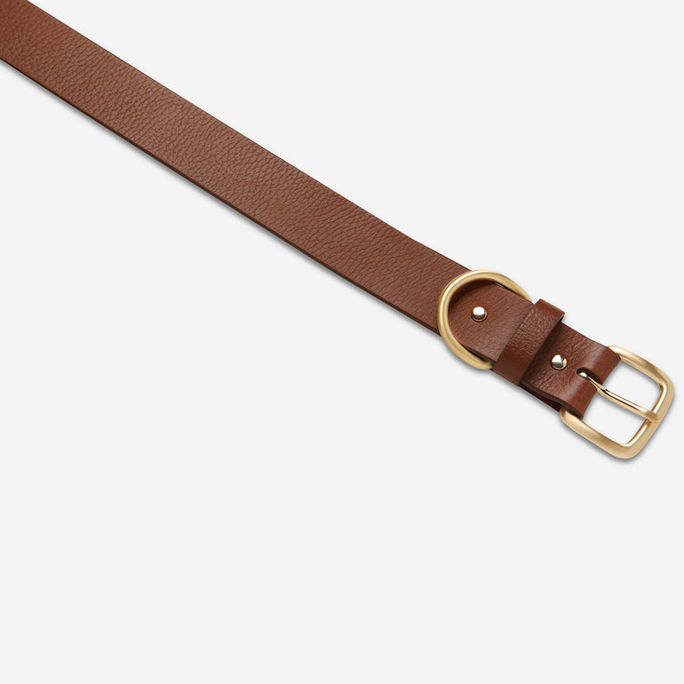 Status Anxiety Disarm Women's Leather Belt Tan/Gold