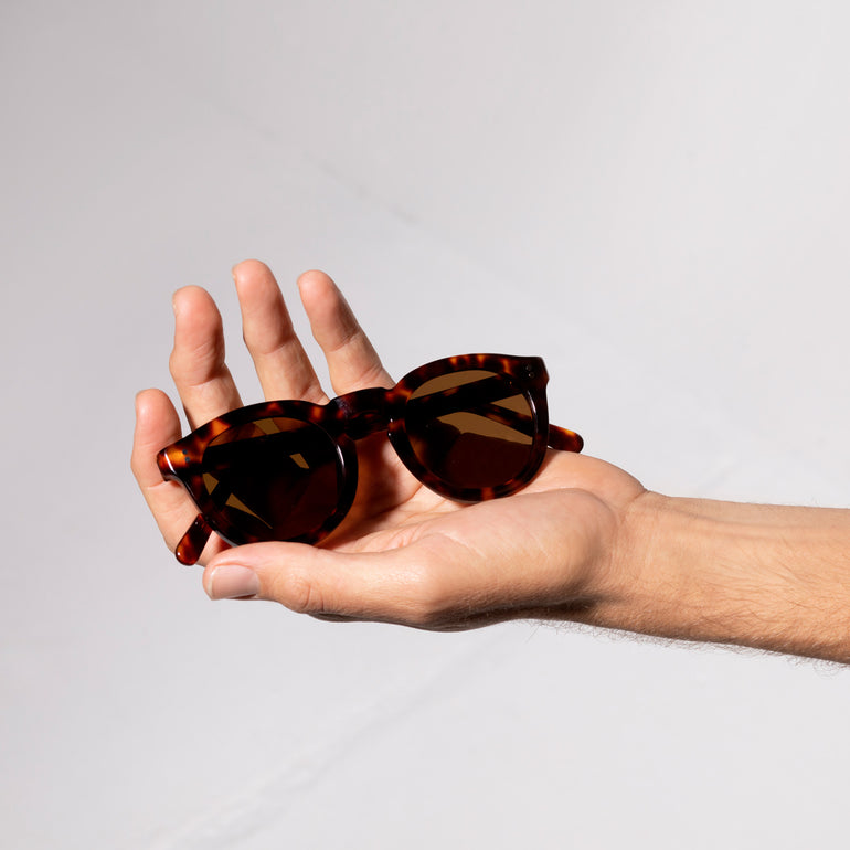Status Anxiety Detached Sunglasses Brown Tort